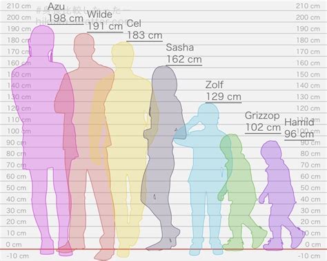 13 feet to meters|13 meters compared to human.